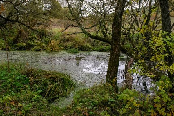 Landschaft Einem Bewölkten Herbsttag Zentralrussland — Stockfoto