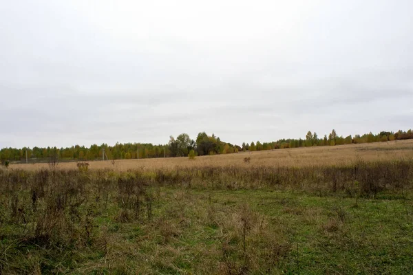 Paysage Par Une Journée Automne Nuageuse Russie Centrale — Photo