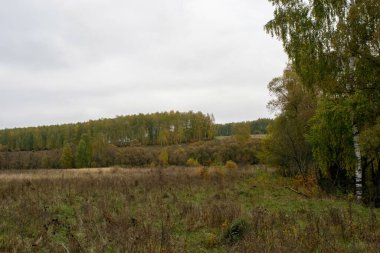 Rusya 'nın orta kesiminde bulutlu bir sonbahar gününde manzara