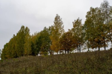 Rusya 'nın orta kesiminde bulutlu bir sonbahar gününde manzara
