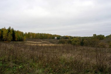 Rusya 'nın orta kesiminde bulutlu bir sonbahar gününde manzara
