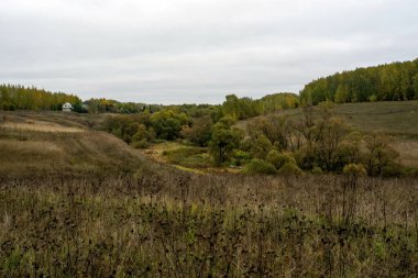 Rusya 'nın orta kesiminde bulutlu bir sonbahar gününde manzara
