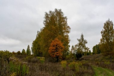 Rusya 'nın orta kesiminde bulutlu bir sonbahar gününde manzara