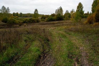 Rusya 'nın orta kesiminde bulutlu bir sonbahar gününde manzara