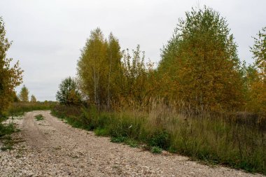Rusya 'nın orta kesiminde bulutlu bir sonbahar gününde manzara