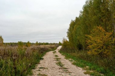 Rusya 'nın orta kesiminde bulutlu bir sonbahar gününde manzara