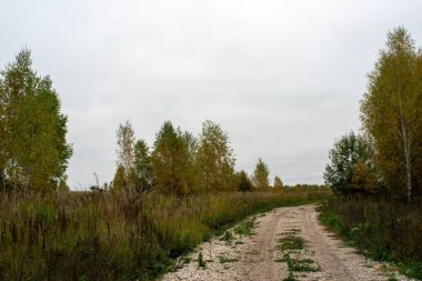 Rusya 'nın orta kesiminde bulutlu bir sonbahar gününde manzara