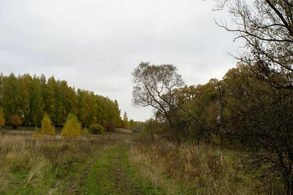 Landscape Cloudy Autumn Day Central Russia — Stock Photo, Image