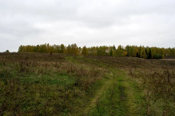 Rusya 'nın orta kesiminde bulutlu bir sonbahar gününde manzara