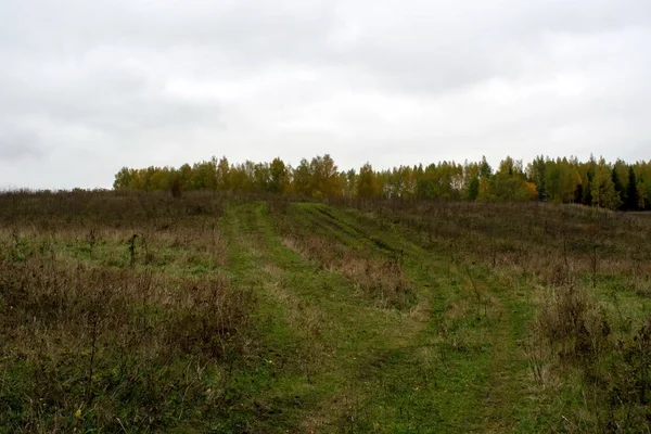 Rusya 'nın orta kesiminde bulutlu bir sonbahar gününde manzara