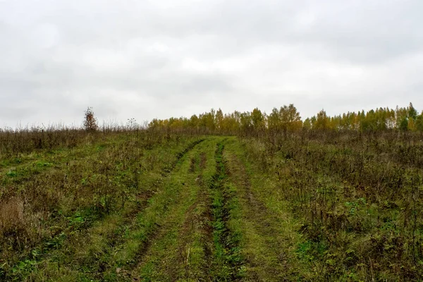 Krajobraz Pochmurny Jesienny Dzień Centralna Rosja — Zdjęcie stockowe
