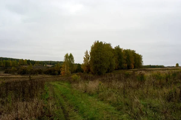 Paysage Par Une Journée Automne Nuageuse Russie Centrale — Photo