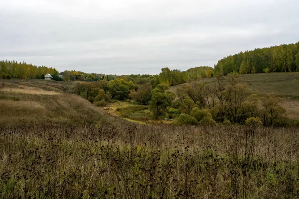 Rusya 'nın orta kesiminde bulutlu bir sonbahar gününde manzara