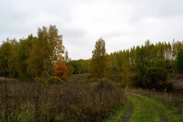 Landschaft Einem Bewölkten Herbsttag Zentralrussland — Stockfoto