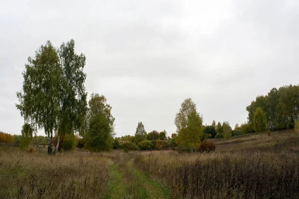 Krajobraz Pochmurny Jesienny Dzień Centralna Rosja — Zdjęcie stockowe