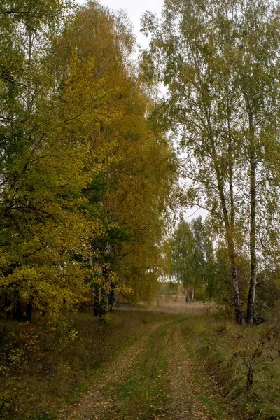 俄罗斯中部多云的秋天里的风景 — 图库照片