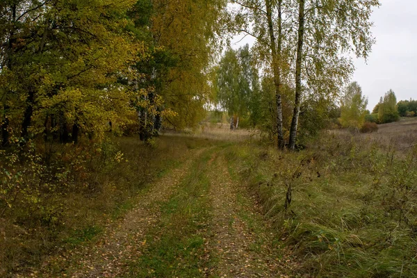 Landschaft Einem Bewölkten Herbsttag Zentralrussland — Stockfoto