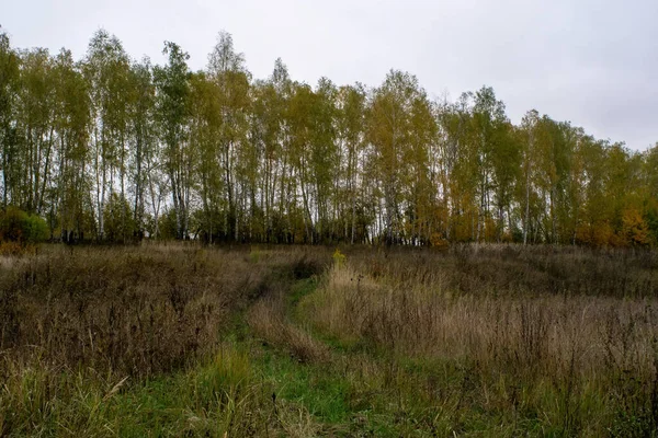 Landschaft Einem Bewölkten Herbsttag Zentralrussland — Stockfoto