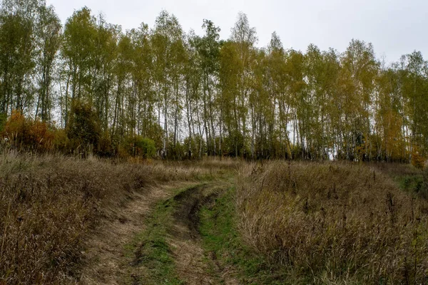 Paysage Par Une Journée Automne Nuageuse Russie Centrale — Photo