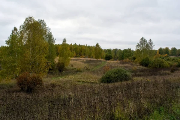 Paisagem Dia Outono Nublado Rússia Central — Fotografia de Stock