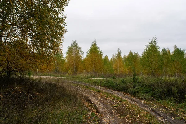 Rusya 'nın orta kesiminde bulutlu bir sonbahar gününde manzara