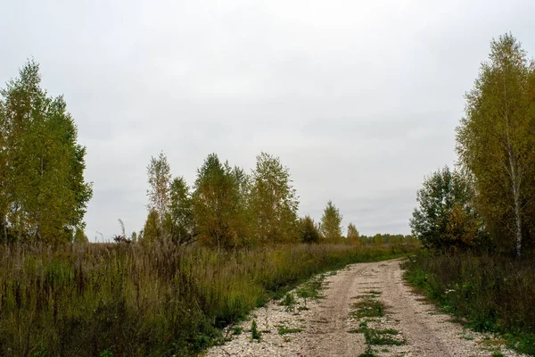 Rusya 'nın orta kesiminde bulutlu bir sonbahar gününde manzara