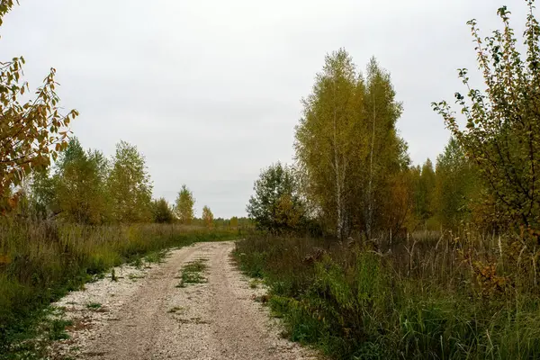 Τοπίο Μια Συννεφιασμένη Ημέρα Του Φθινοπώρου Κεντρική Ρωσία — Φωτογραφία Αρχείου