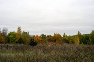Rusya 'nın orta kesiminde bulutlu bir sonbahar gününde manzara