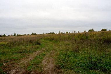 Rusya 'nın orta kesiminde bulutlu bir sonbahar gününde manzara