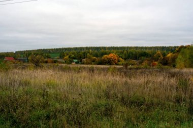 Rusya 'nın orta kesiminde bulutlu bir sonbahar gününde manzara