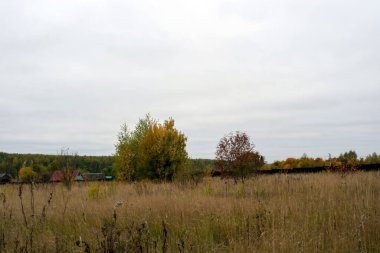 Rusya 'nın orta kesiminde bulutlu bir sonbahar gününde manzara