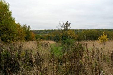 Rusya 'nın orta kesiminde bulutlu bir sonbahar gününde manzara