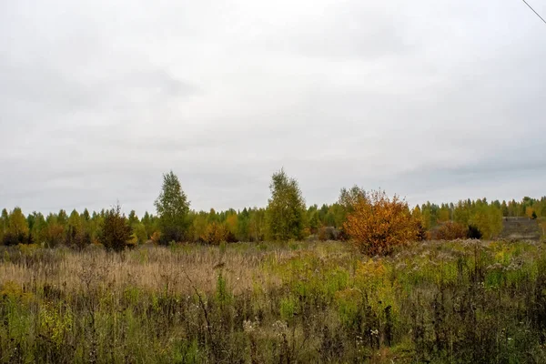 Rusya Nın Orta Kesiminde Bulutlu Bir Sonbahar Gününde Manzara — Stok fotoğraf