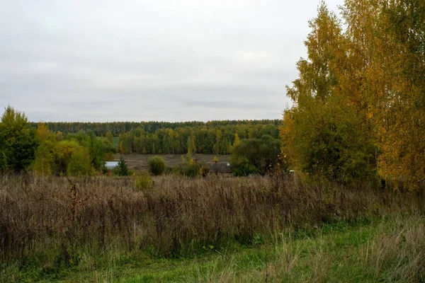 Paisagem Dia Outono Nublado Rússia Central — Fotografia de Stock