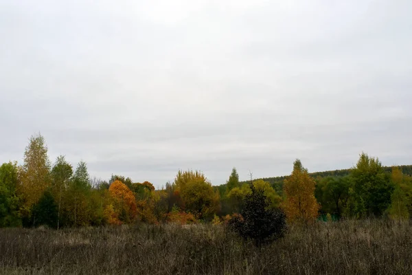 Paisagem Dia Outono Nublado Rússia Central — Fotografia de Stock