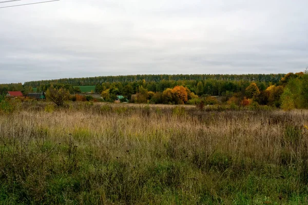 Rusya 'nın orta kesiminde bulutlu bir sonbahar gününde manzara