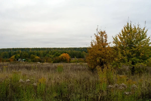 Rusya 'nın orta kesiminde bulutlu bir sonbahar gününde manzara