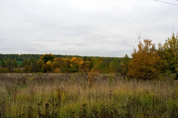 俄罗斯中部多云的秋天里的风景 — 图库照片