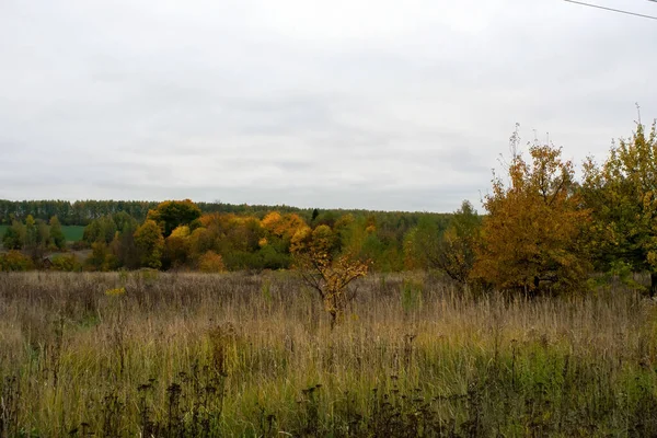 Paisaje Día Nublado Otoño Rusia Central — Foto de Stock