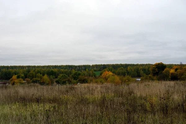 Rusya 'nın orta kesiminde bulutlu bir sonbahar gününde manzara