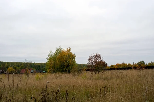Rusya 'nın orta kesiminde bulutlu bir sonbahar gününde manzara