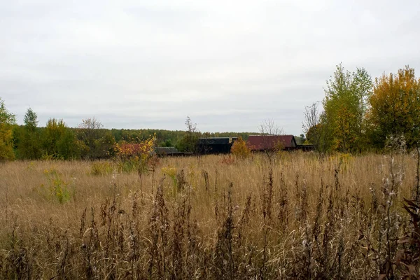 Rusya 'nın orta kesiminde bulutlu bir sonbahar gününde manzara