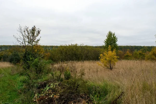 Paysage Par Une Journée Automne Nuageuse Russie Centrale — Photo