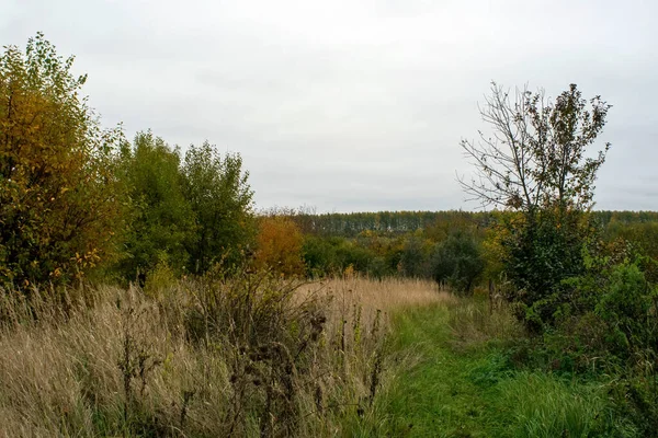 Rusya 'nın orta kesiminde bulutlu bir sonbahar gününde manzara