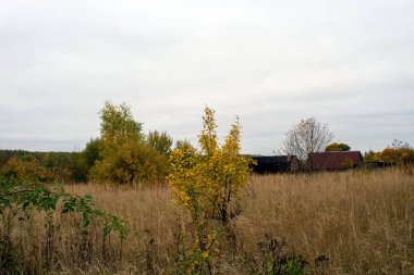 Rusya 'nın orta kesiminde bulutlu bir sonbahar gününde manzara