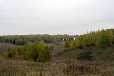 Rusya 'nın orta kesiminde bulutlu bir sonbahar gününde manzara