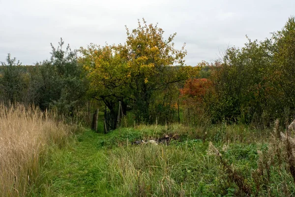 Старі Ворота Садовому Паркані Восени — стокове фото