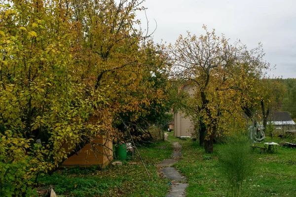 曇りの日の秋の古い庭秋の — ストック写真