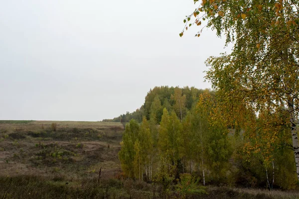Paysage Par Une Journée Automne Nuageuse Russie Centrale — Photo