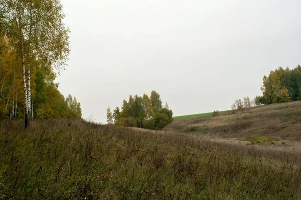 Rusya Nın Orta Kesiminde Bulutlu Bir Sonbahar Gününde Manzara — Stok fotoğraf